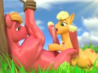 Horse sex with yellow and pink horse in the farm